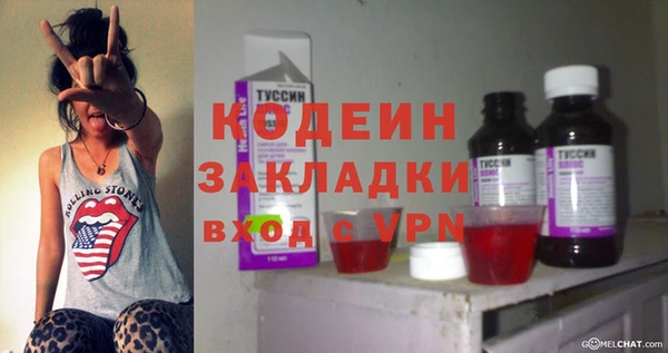 сатива Балахна