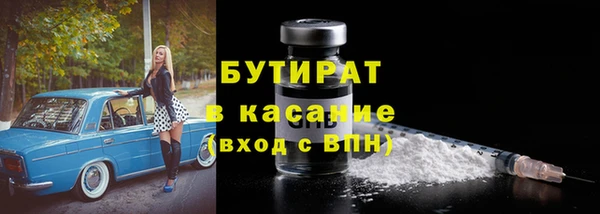 сатива Балахна