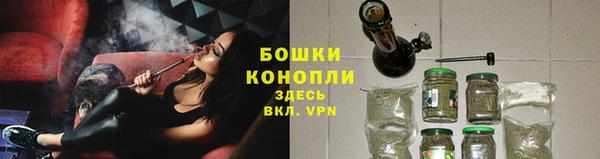 винт Белокуриха