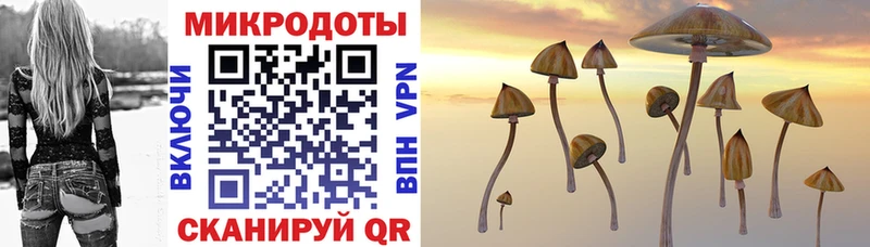 omg как войти  Ессентуки  Галлюциногенные грибы Cubensis  где можно купить  