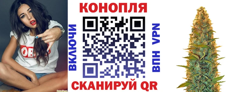 Канабис ГИДРОПОН  blacksprut ТОР  Ессентуки 